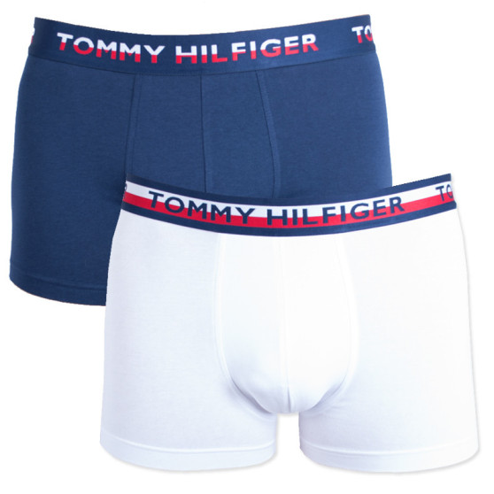 2PACK muške bokserice Tommy Hilfiger višebojan (UM0UM00746 222)