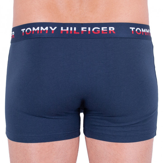 2PACK muške bokserice Tommy Hilfiger višebojan (UM0UM01233 054)