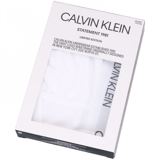 Muške gaćice Calvin Klein bijela (NB1810A-100)