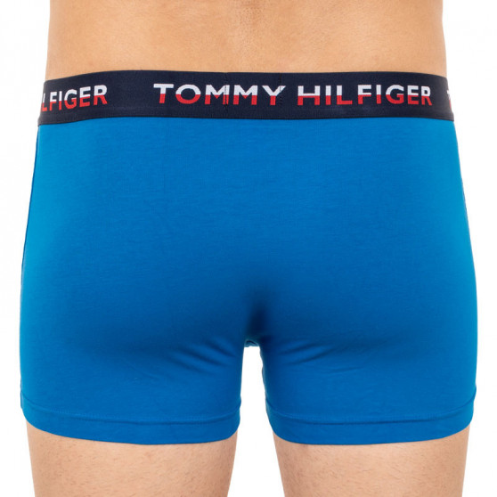 2PACK muške bokserice Tommy Hilfiger višebojan (UM0UM01233 014)