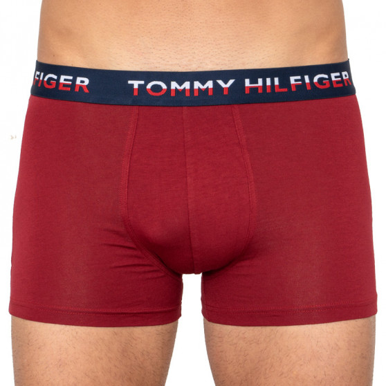 2PACK muške bokserice Tommy Hilfiger višebojan (UM0UM01233 582)
