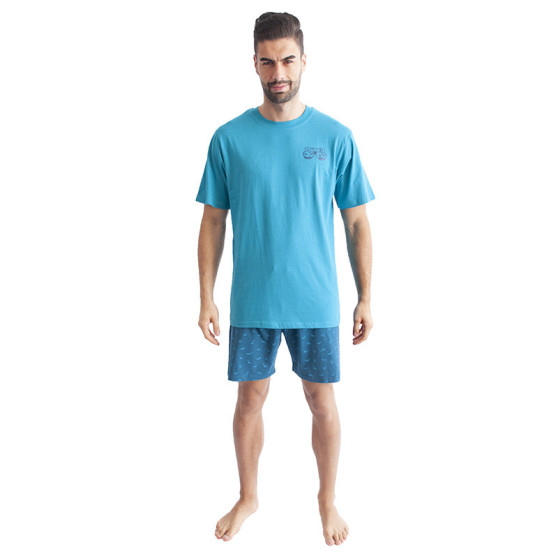 Muška pidžama Gino tirkiz (79094)