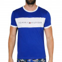 Muška majica kratkih rukava Tommy Hilfiger plava (UM0UM01170 C86)