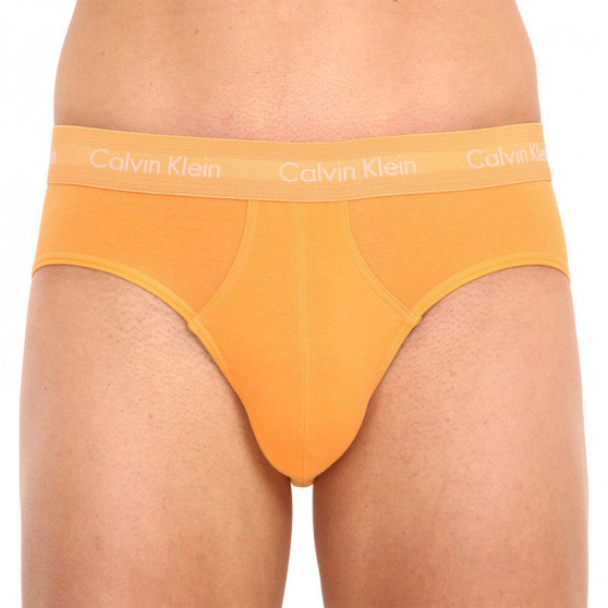 3PACK muške gaćice Calvin Klein višebojan (U2661G-208)
