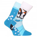 Sretne čarape Dedoles Pingvini (GMRS118)