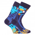 Sretne čarape Dedoles Tropski tukan (GMRS1324)