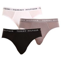 3PACK muške gaćice Tommy Hilfiger višebojan (UM0UM02206 0TG)