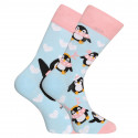 Sretne čarape Dedoles Pingvin na klizaljkama (GMRS221)