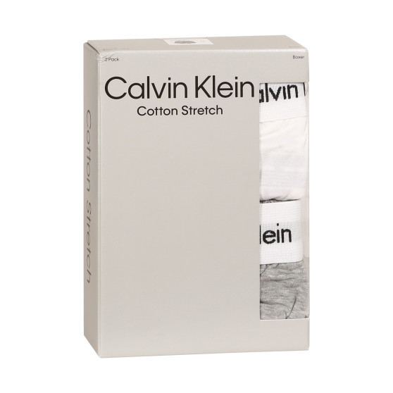2PACK muške bokserice Calvin Klein višebojan (NB3522A-BL6)