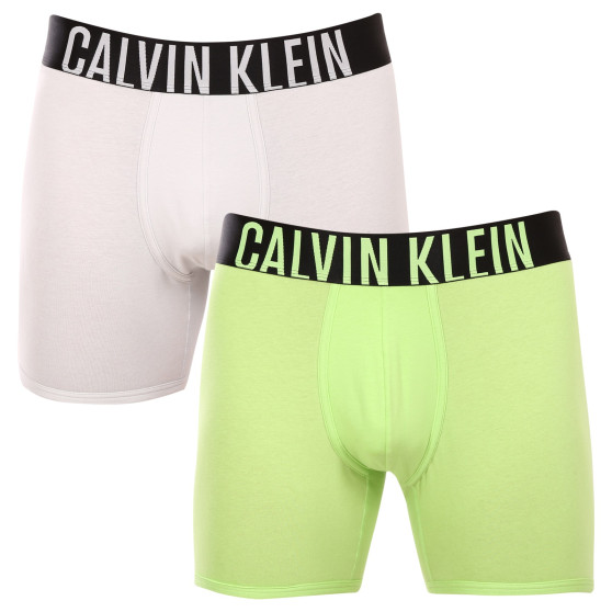 2PACK muške bokserice Calvin Klein višebojan (NB2603A-C2D)