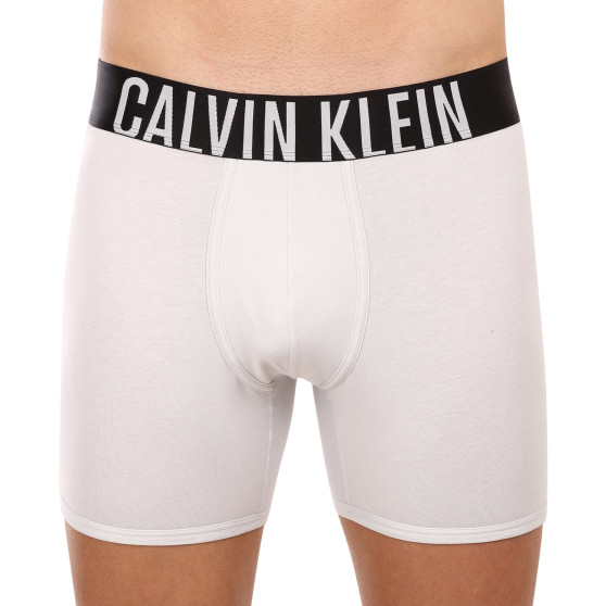 2PACK muške bokserice Calvin Klein višebojan (NB2603A-C2D)