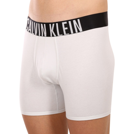 2PACK muške bokserice Calvin Klein višebojan (NB2603A-C2D)