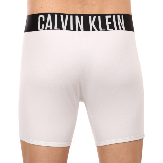 2PACK muške bokserice Calvin Klein višebojan (NB2603A-C2D)