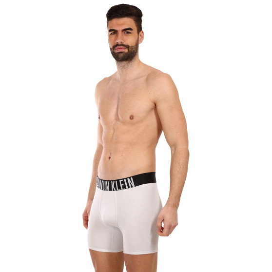 2PACK muške bokserice Calvin Klein višebojan (NB2603A-C2D)