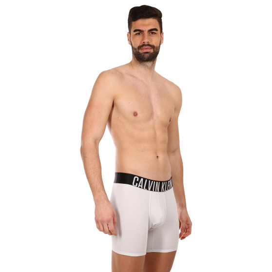 2PACK muške bokserice Calvin Klein višebojan (NB2603A-C2D)