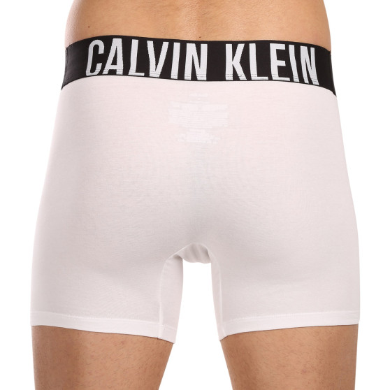 3PACK muške bokserice Calvin Klein višebojan (NB3609A-MP1)