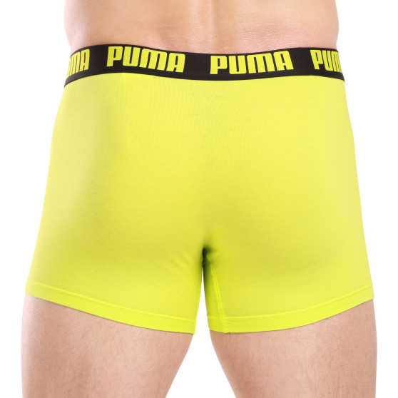 2PACK muške bokserice Puma višebojan (701226387 016)