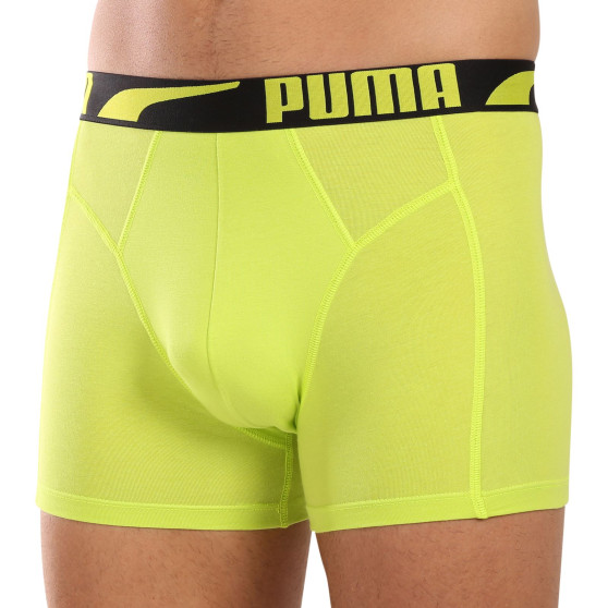 2PACK muške bokserice Puma višebojan (701225876 001)