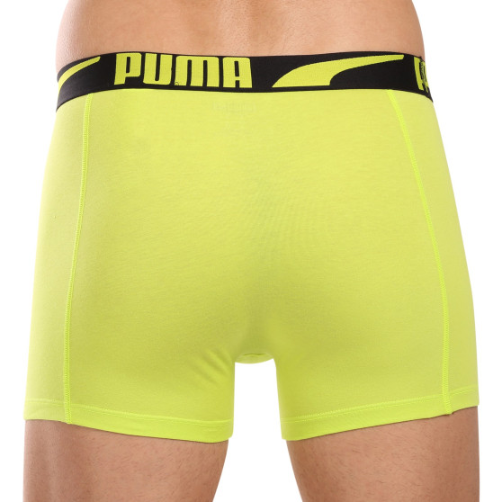 2PACK muške bokserice Puma višebojan (701225876 001)