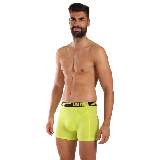 2PACK muške bokserice Puma višebojan (701225876 001)