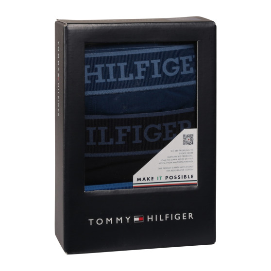 3PACK muške bokserice Tommy Hilfiger višebojan (1U87903841 004)